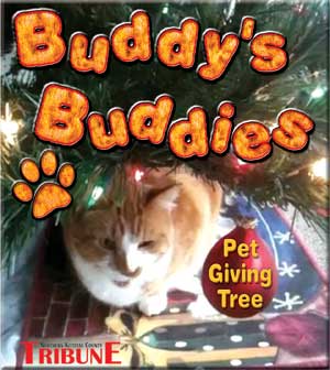 buddys_buddies