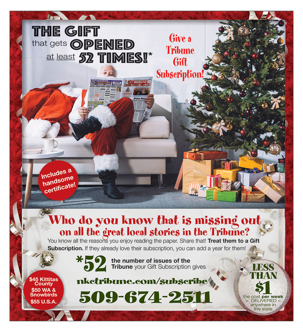 2020 Holiday Guide Ad