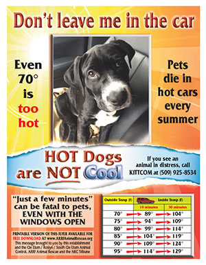 Preview_thumbnail_pets_in_cars_flyer