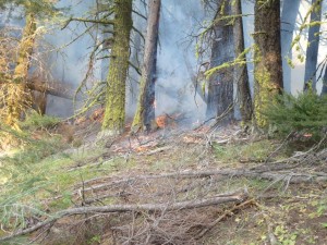 The Goal Of Burnout Operations Is To Reduce Fuel Loads Next To Established Firelines. Credit: Washington Interagency Incident Management Team #4