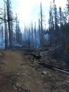 Area where subalpine trees, woody debris and ground vegetation have been mostly consumed by the fire. Credit: Washington Interagency Incident Management Team #4