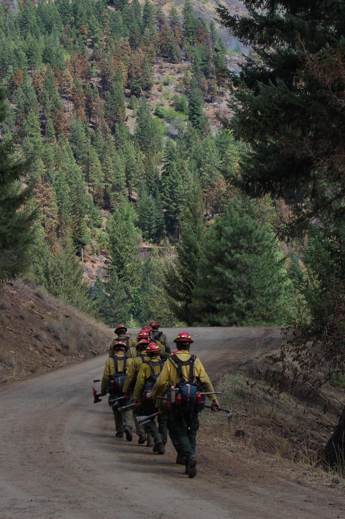 UPDATES South Cle Elum Ridge Fire 97 Contained mopping up