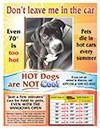 FREE DOWNLOAD – Pets in Hot Cars Flyer