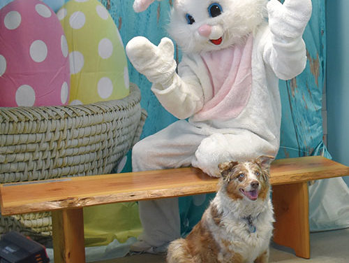 April 18, 2019 HEADLINES – Northern Kittitas County Tribune