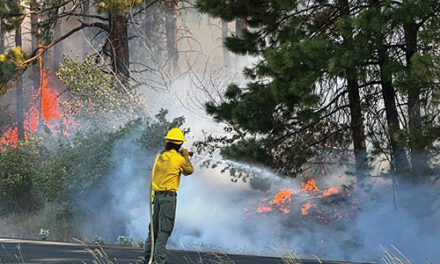 JUNE 12 2025 HEADLINES – Northern Kittitas County Tribune