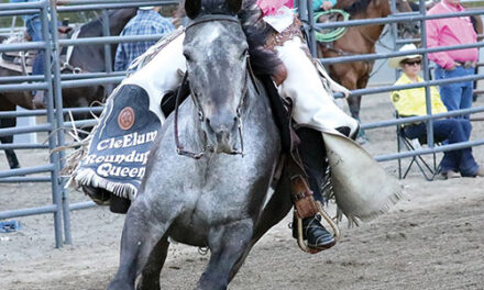 JULY 31 2025 HEADLINES – Northern Kittitas County Tribune