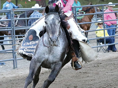 JULY 31 2025 HEADLINES – Northern Kittitas County Tribune