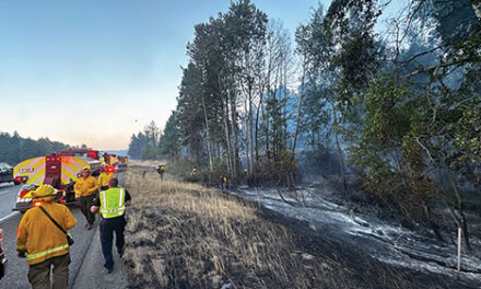 AUGUST 21 2025 HEADLINES – Northern Kittitas County Tribune