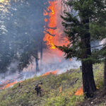 SEPTEMBER 11 2025 HEADLINES – Northern Kittitas County Tribune