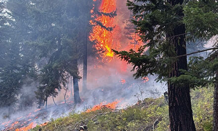 SEPTEMBER 11 2025 HEADLINES – Northern Kittitas County Tribune