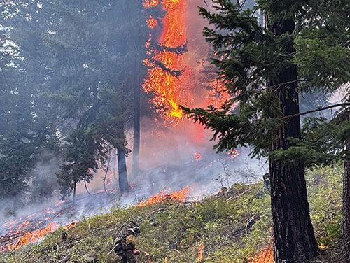 SEPTEMBER 11 2025 HEADLINES – Northern Kittitas County Tribune