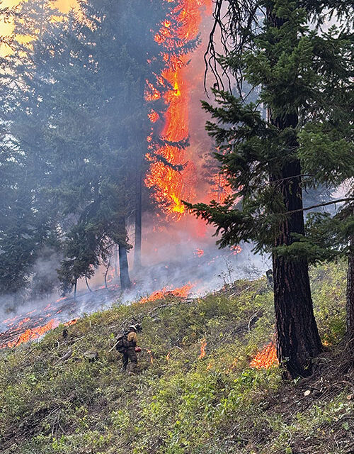 SEPTEMBER 11 2025 HEADLINES – Northern Kittitas County Tribune