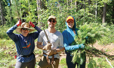 JUNE 18 2026 HEADLINES – Northern Kittitas County Tribune