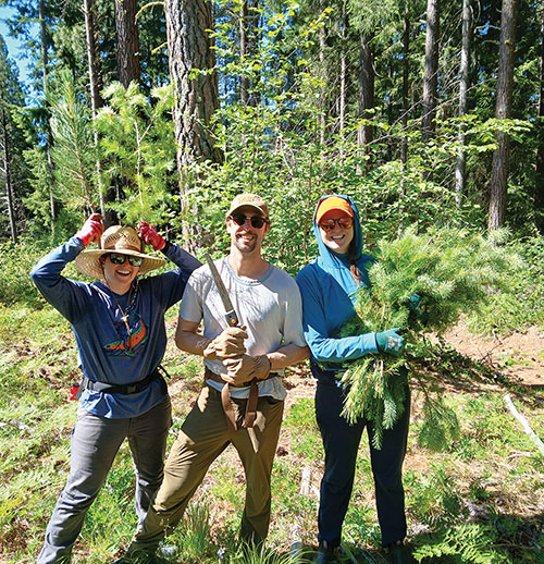 JUNE 18 2026 HEADLINES – Northern Kittitas County Tribune