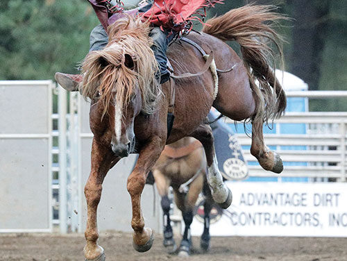 JULY 30 2026 HEADLINES – Northern Kittitas County Tribune